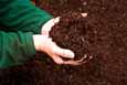 Photo: Soil (copywrite Harrod Horticulture)
