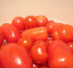Photo: Tomatoes from the garden