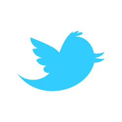Photo: twitter bird logo