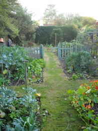 Photo: view towards the cottage